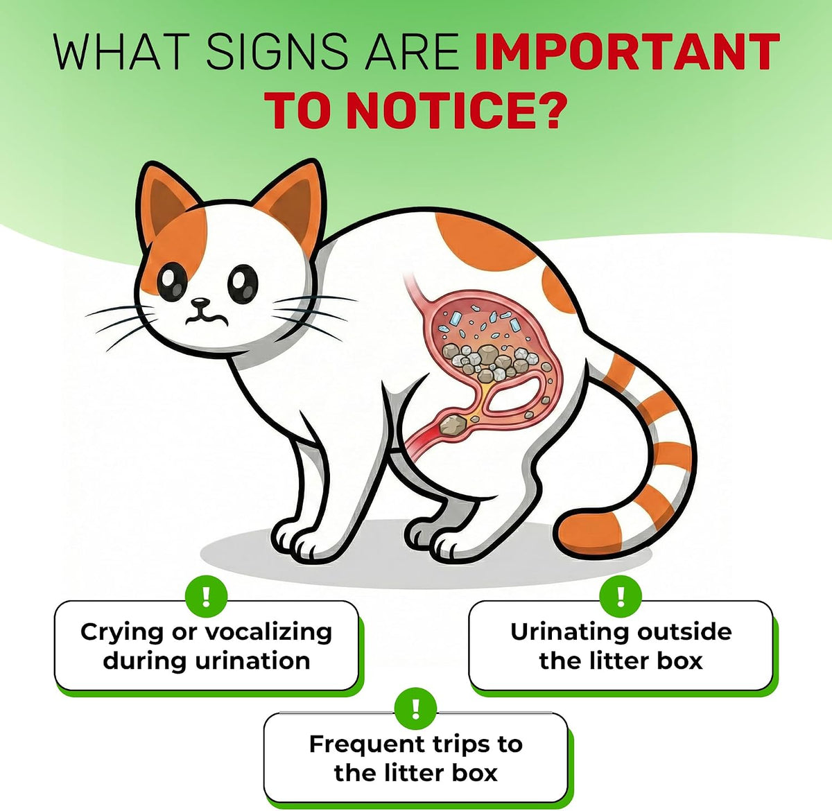 Creamy chicken flavored pet bladder irritation supplement packaging presentation