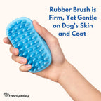 Freshly Bailey pet grooming brush removing loose fur from a Labrador coat
