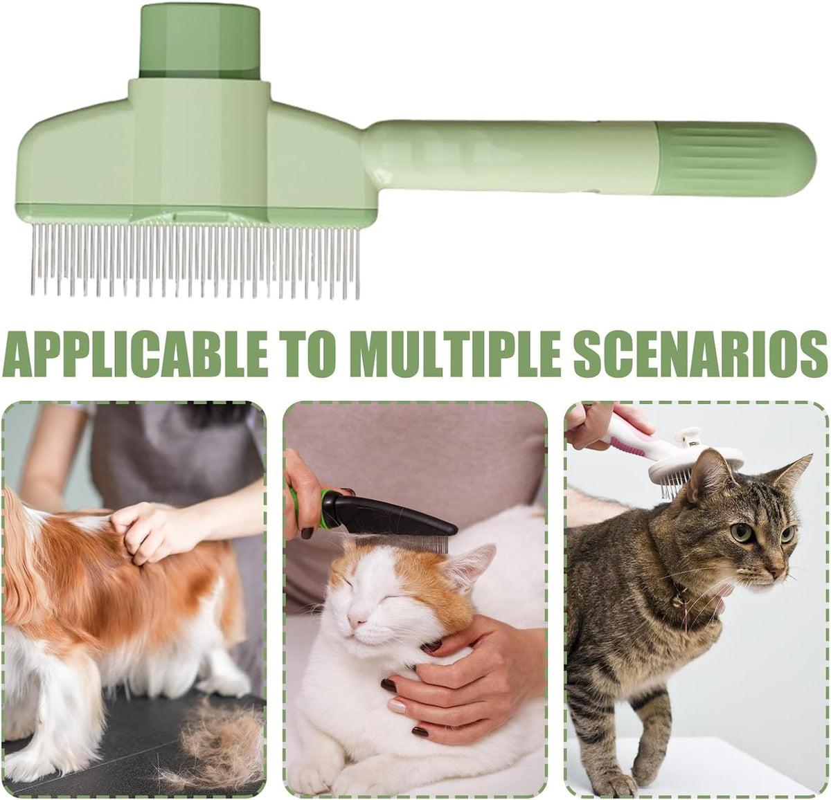 Dog grooming session using Rv International hair removal tool