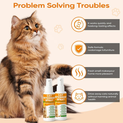 Close up of MGSDL natural anti-scratch spray packaging