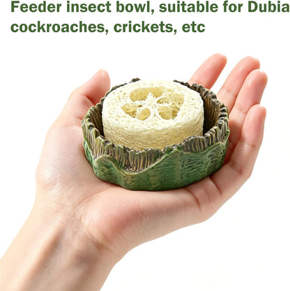 Durable plastic water basin for dubia roach enclosure