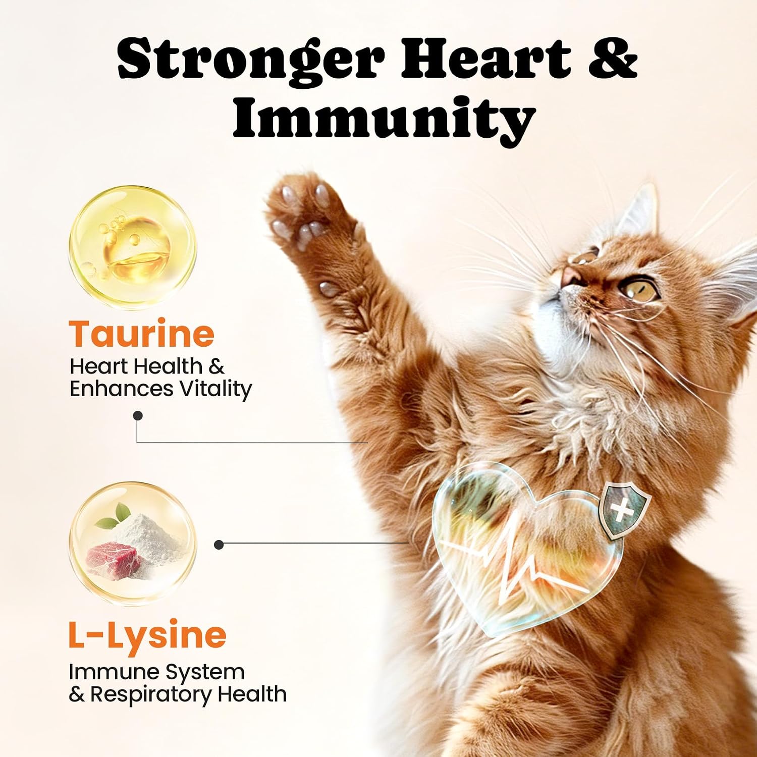 Close up look at the chicken flavored dual texture crunchy shell and creamy core cat chews.