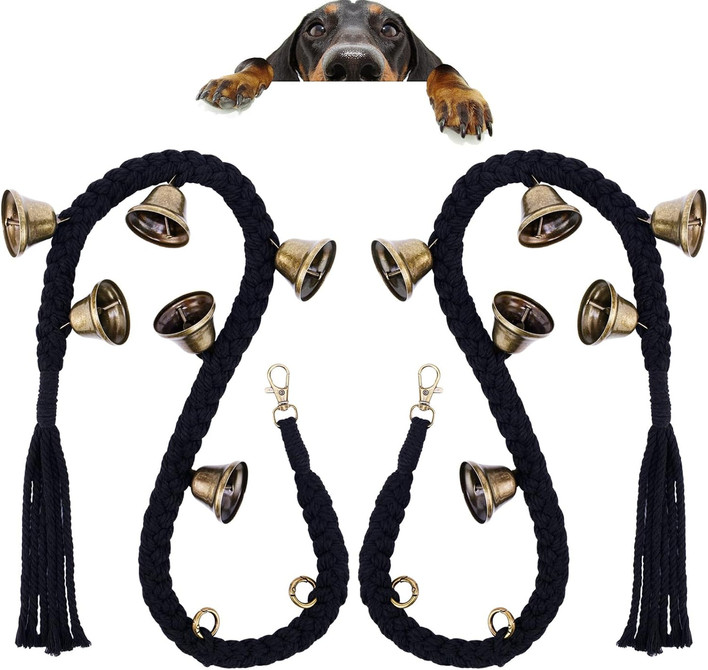 Detail shot of brass-plated bells for pet training