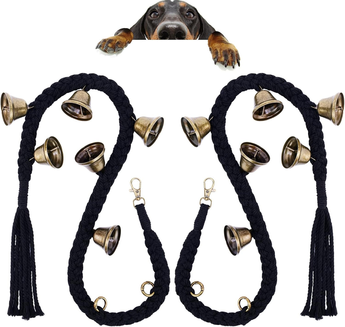 Detail shot of brass-plated bells for pet training