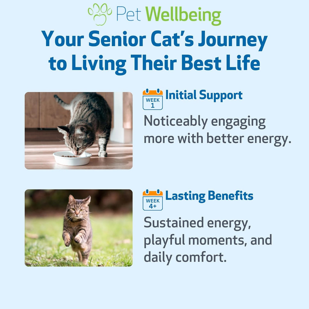 Pet Wellbeing Old Friend for Senior Cats - Supports Immune System Health, Joint Mobility, Healthy Energy Levels, Alfalfa, Reishi - Veterinarian-Formulated Herbal Supplement 2 oz (59 ml) - Image 9