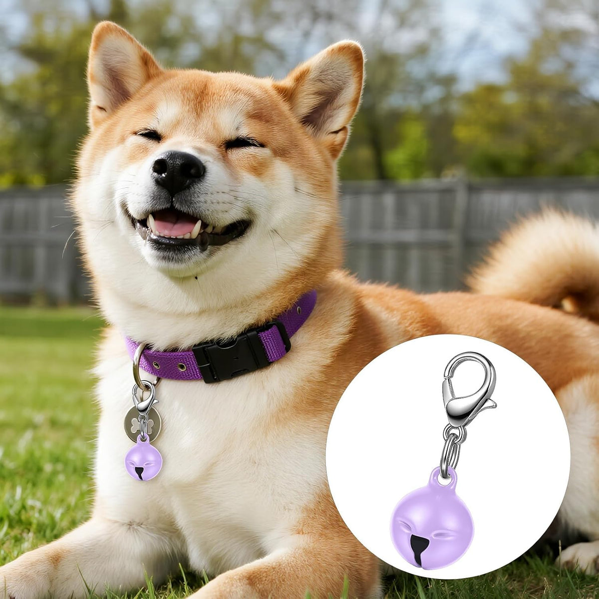 Larrel small animal collar charms showing the secure key ring mechanism for puppy and kitty training