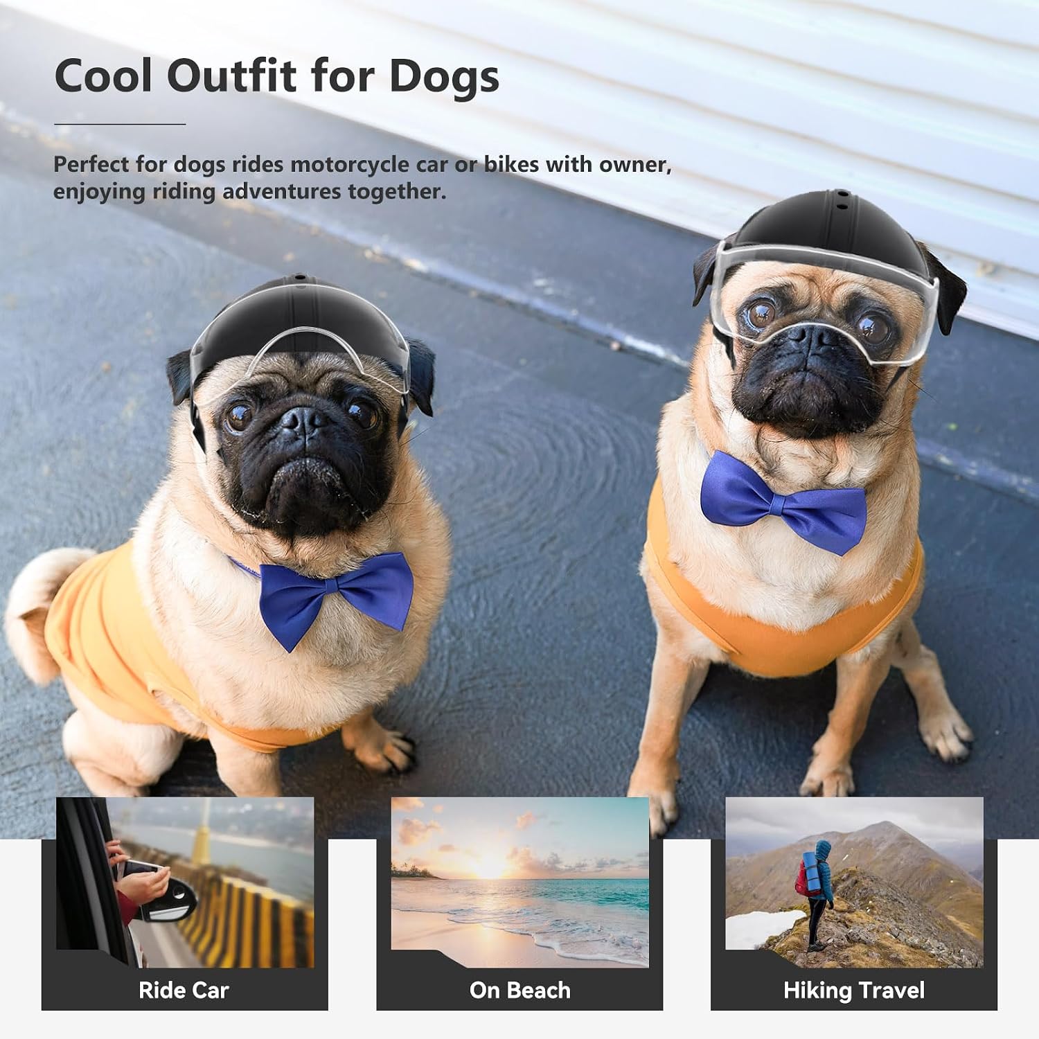 Integrated clear lens visor of Namsan dog helmet tilted up