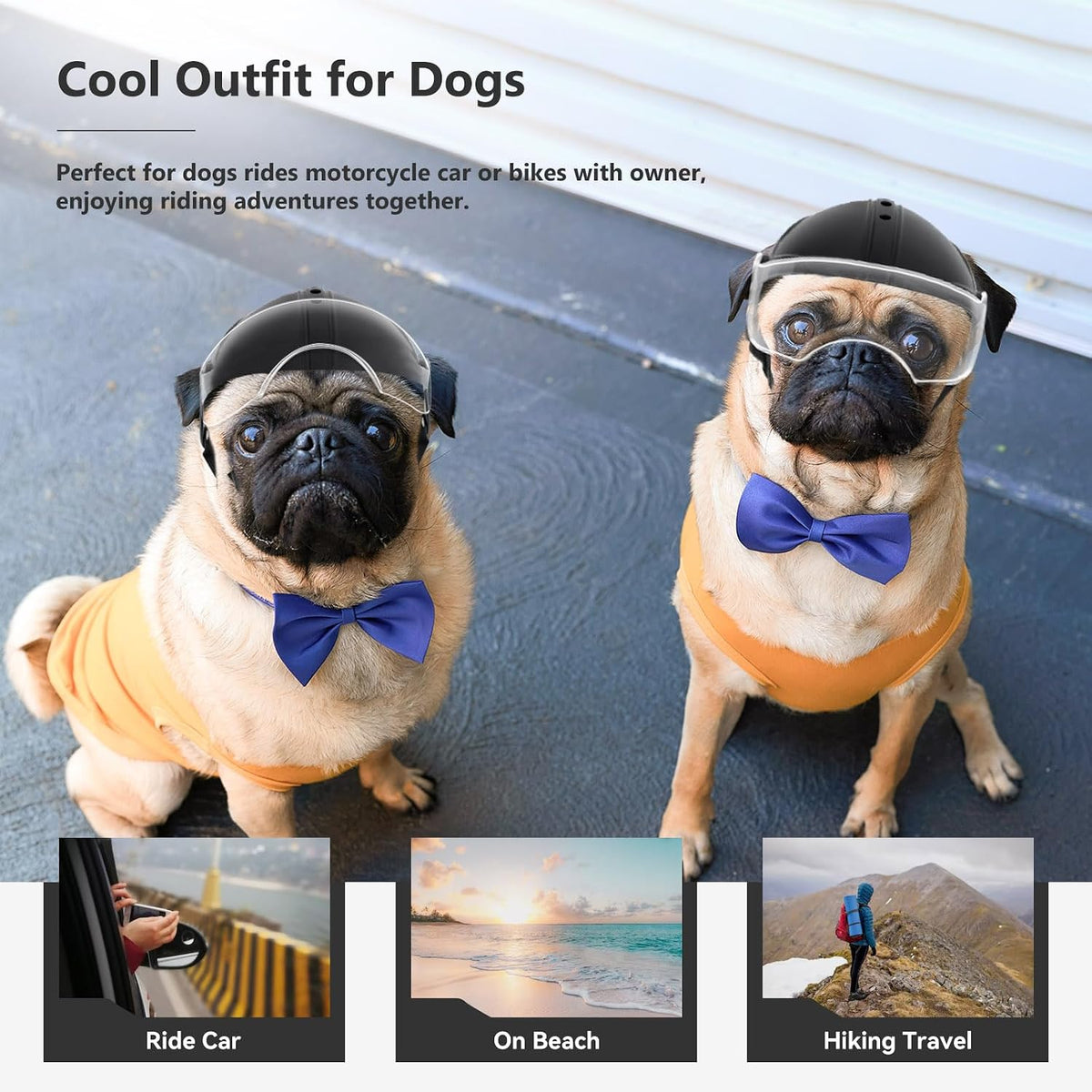 Integrated clear lens visor of Namsan dog helmet tilted up