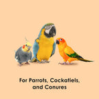 Kaytee bird treat bag showing feeding instructions and ingredients label
