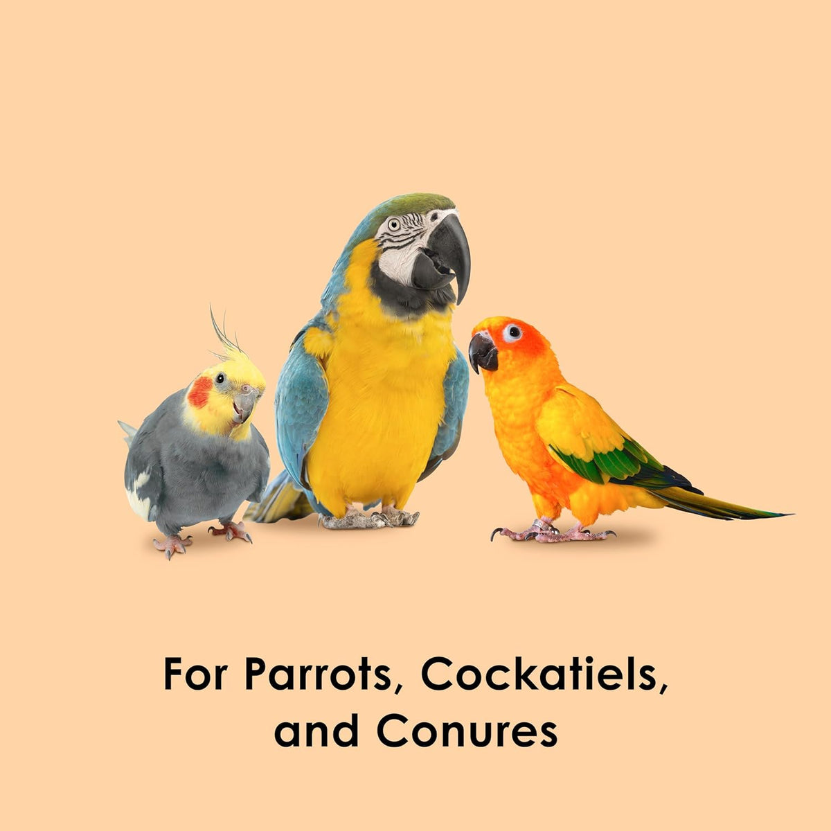 Kaytee bird treat bag showing feeding instructions and ingredients label