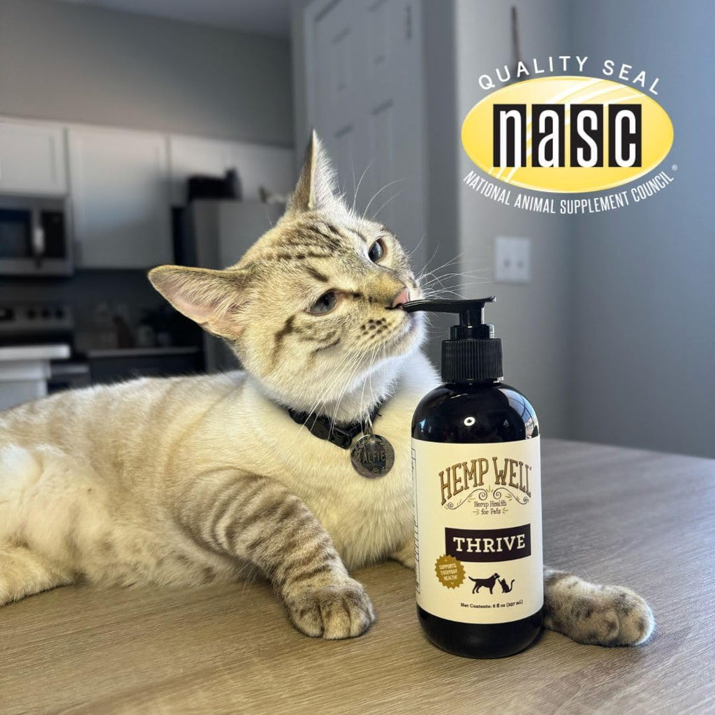 Hemp Well Thrive Oil dropper bottle for easy dosing