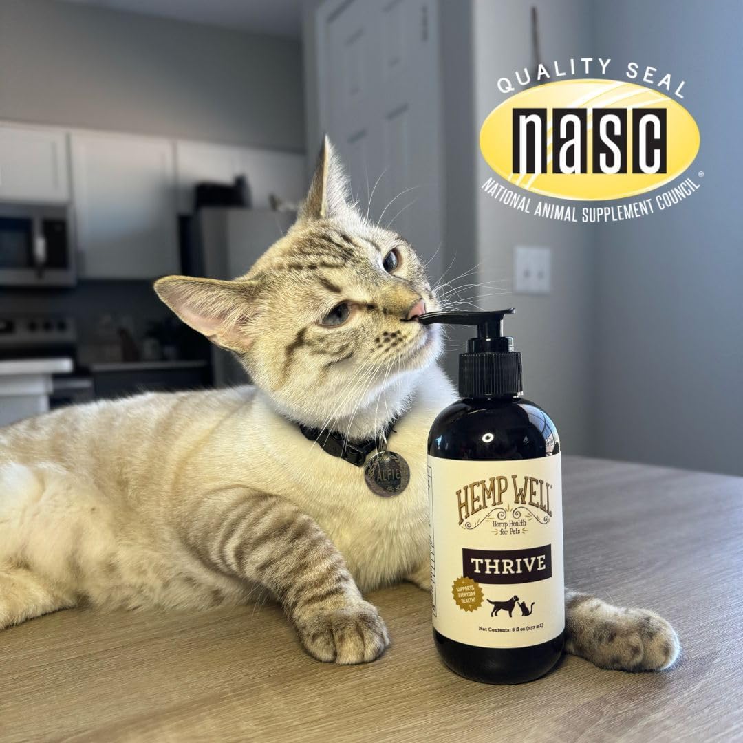 Hemp Well Thrive Oil dropper bottle for easy dosing