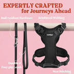 The matching fifty-nine-inch nylon leash included with the rabbitgoo harness set