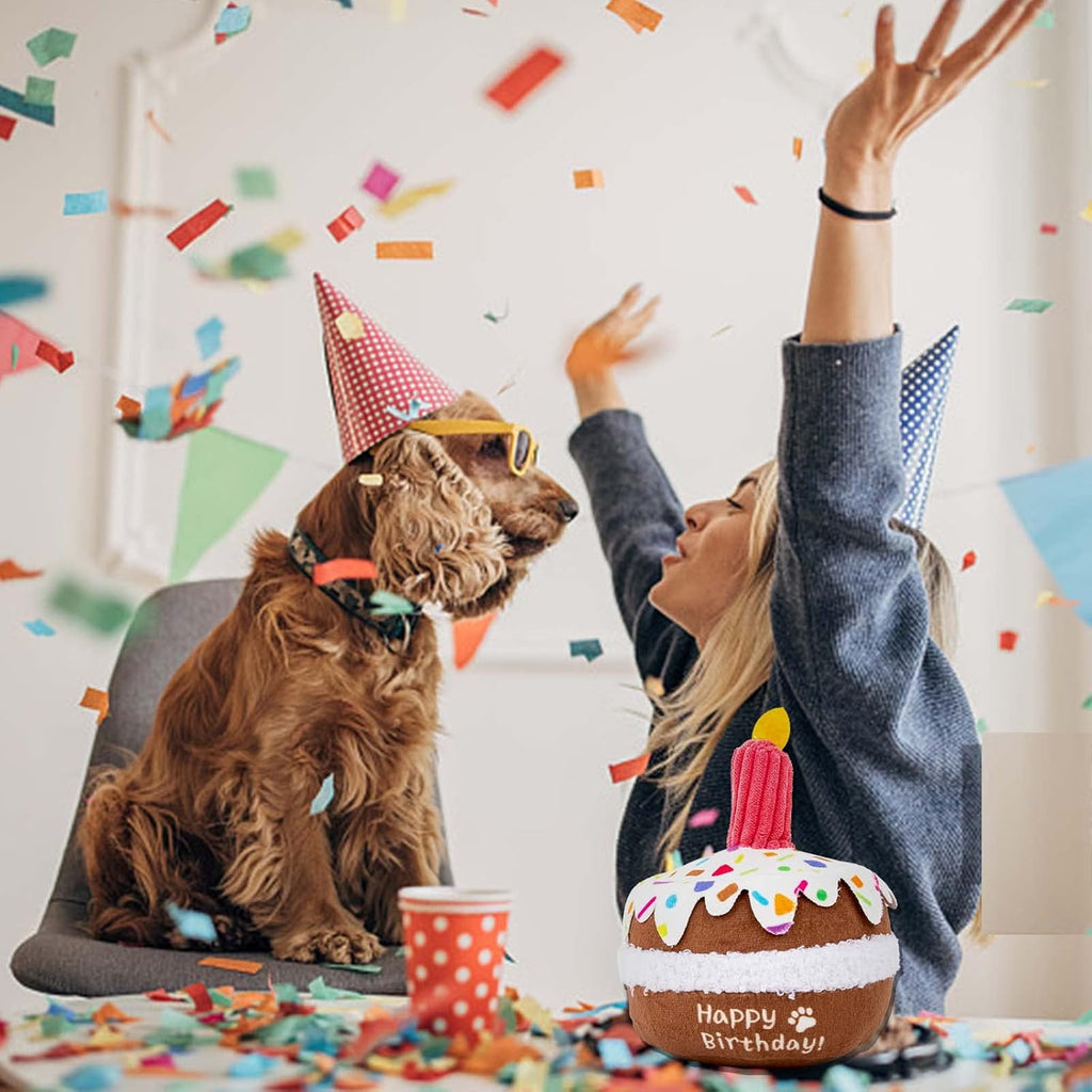 Lilfrd dog birthday cake plush toy placed next to a small dog for scale
