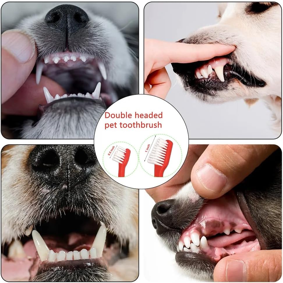 Juwantu 8 piece pet dental hygiene set in packaging