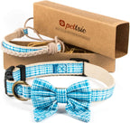 Stylish pet accessory set showcasing the unique bond between dogs and owners