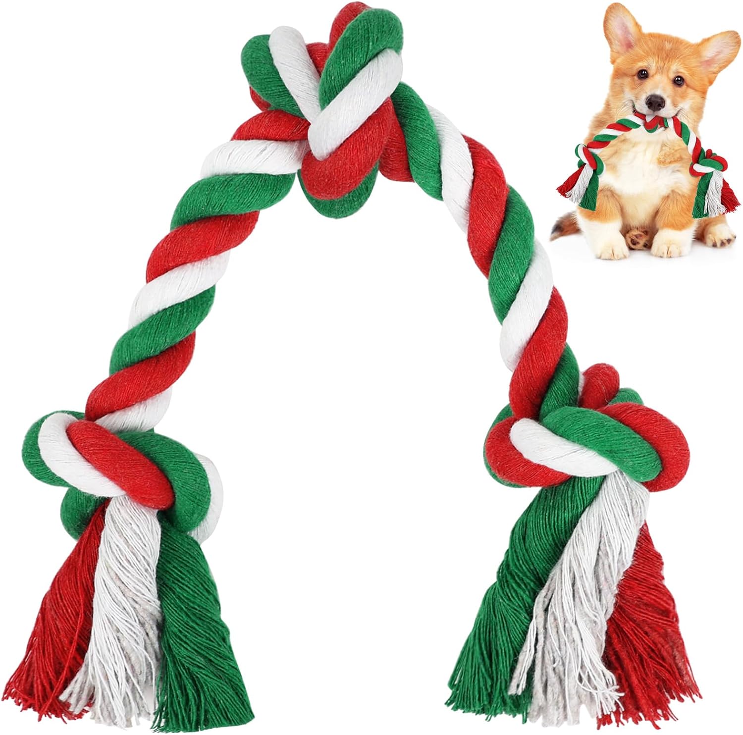 SZEE interactive pet accessories set designed for medium and small breed dogs