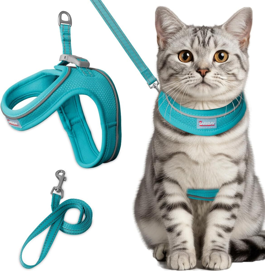 Barkbay escape proof step in cat harness and leash set in ocean blue front view on a kitten.