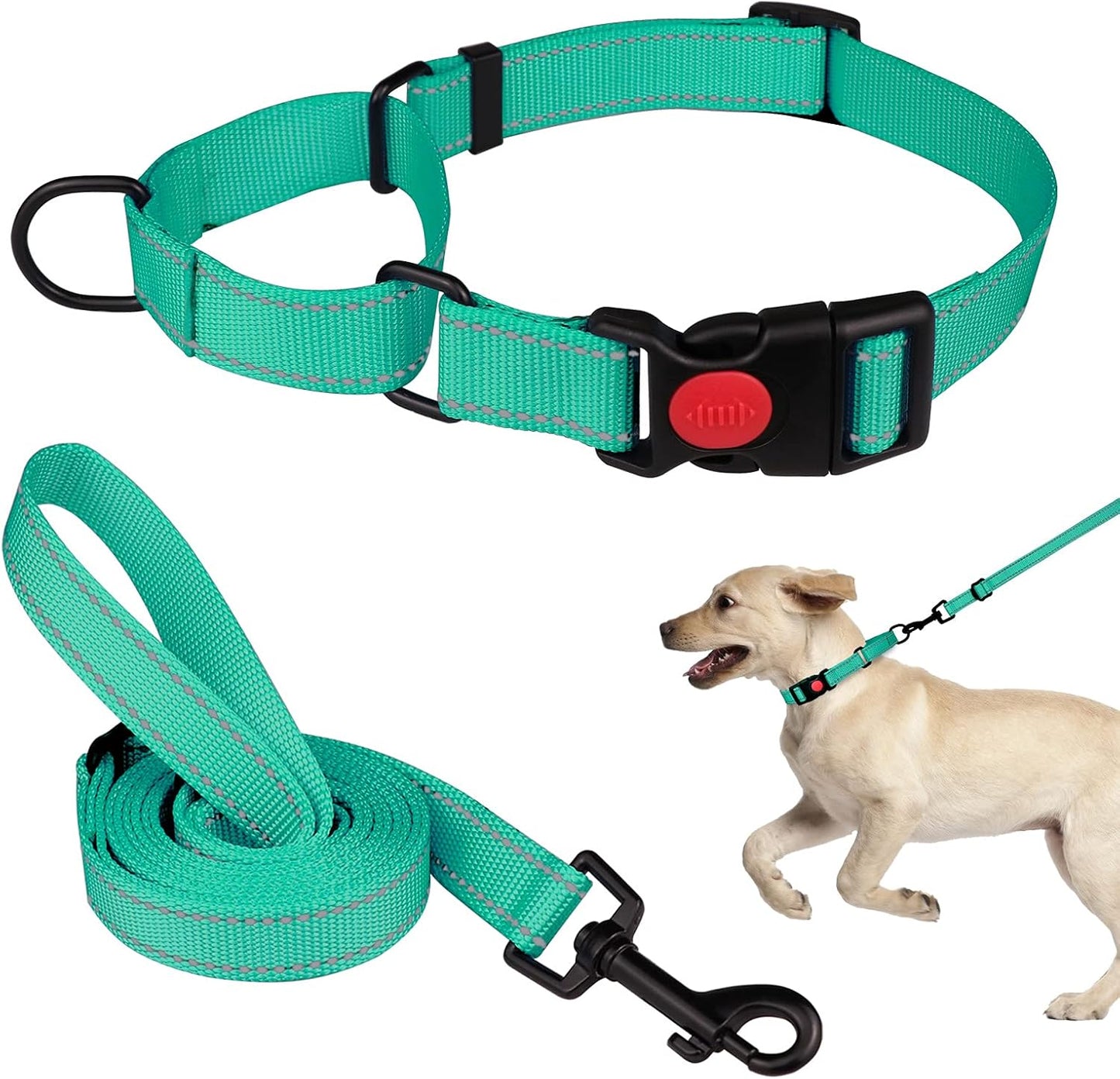 Martingale Dog Collar and Leash Set Martingale Collars for Dogs Reflective Martingale Collar for Small Medium Large Dogs(Hot Pink&L) - Image 9
