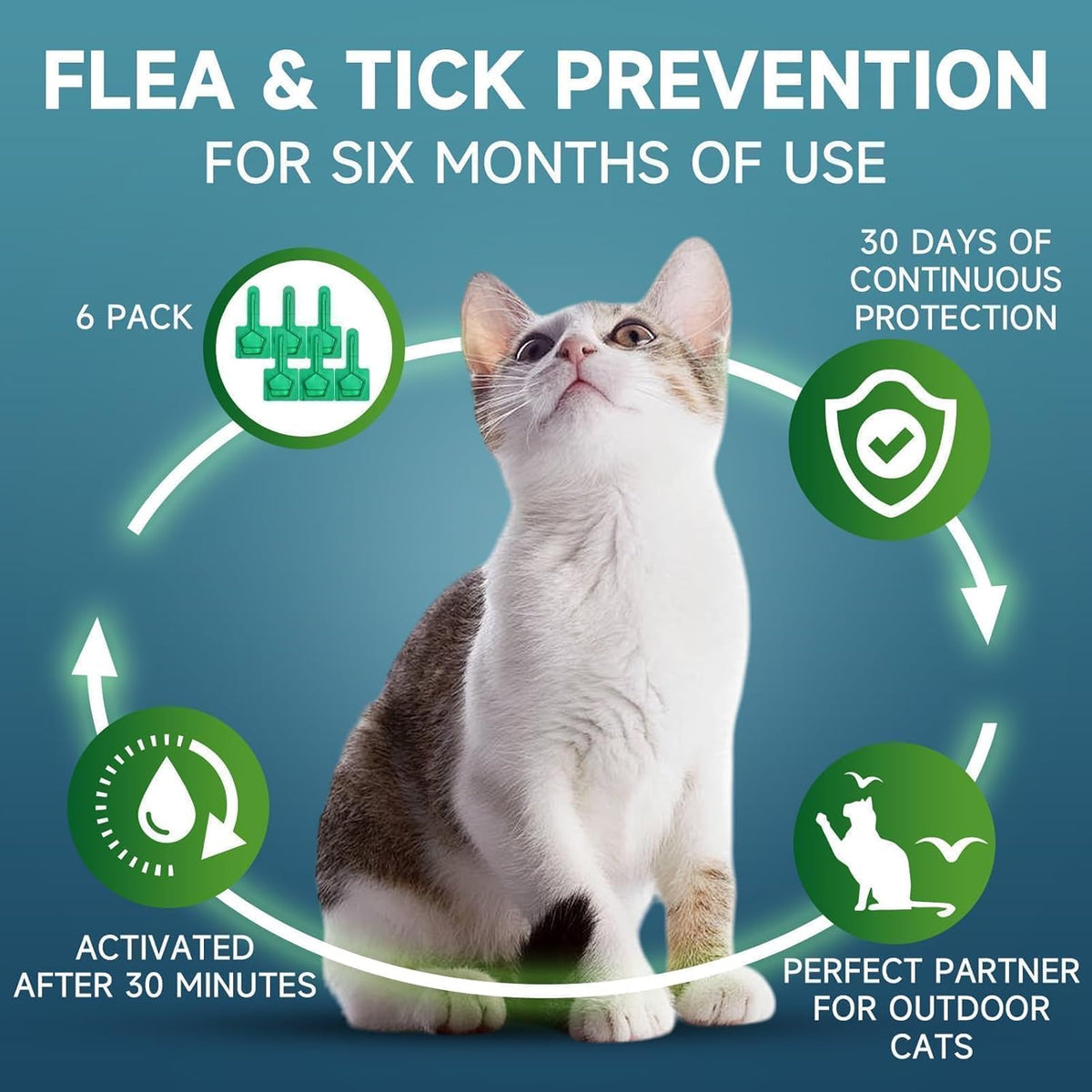 VICSOM waterproof flea repellent formula application instructions diagram