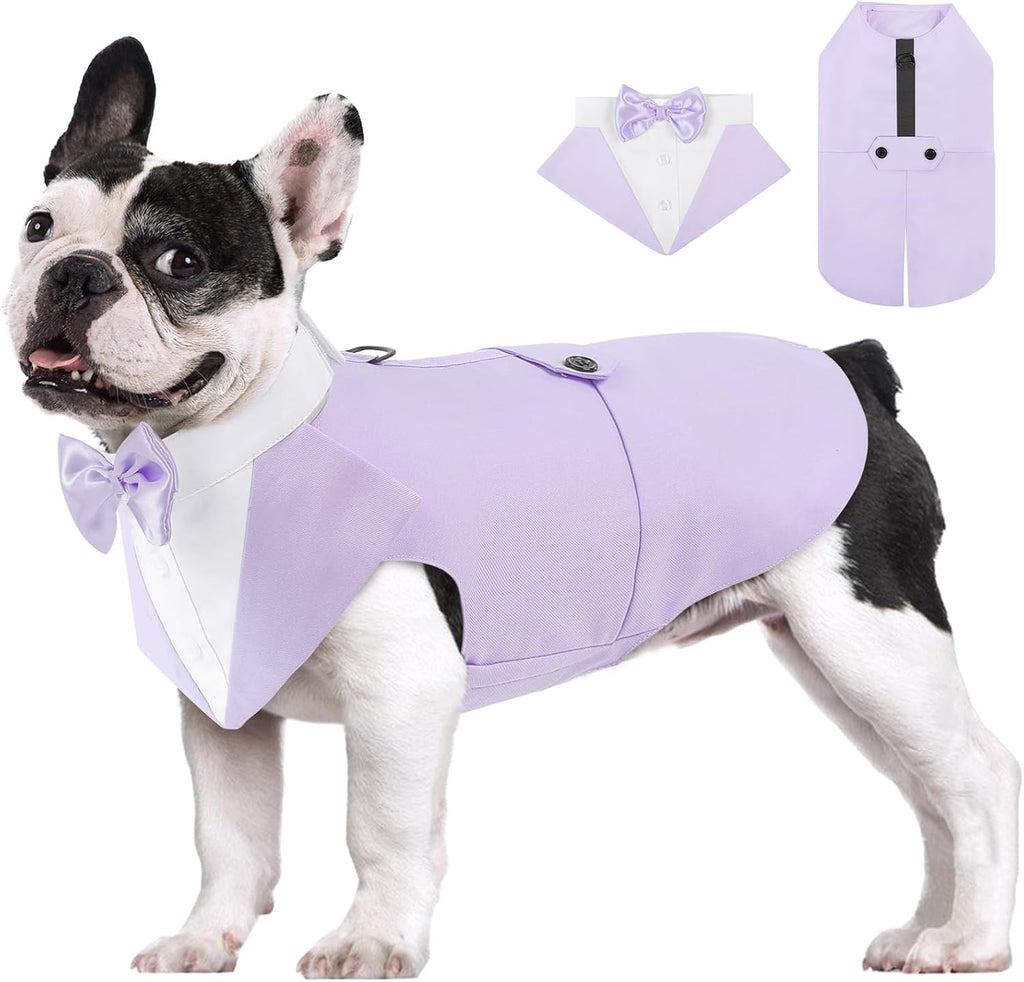 AOFITEE formal wedding attire on a large groomsman dog