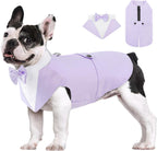 AOFITEE formal wedding attire on a large groomsman dog