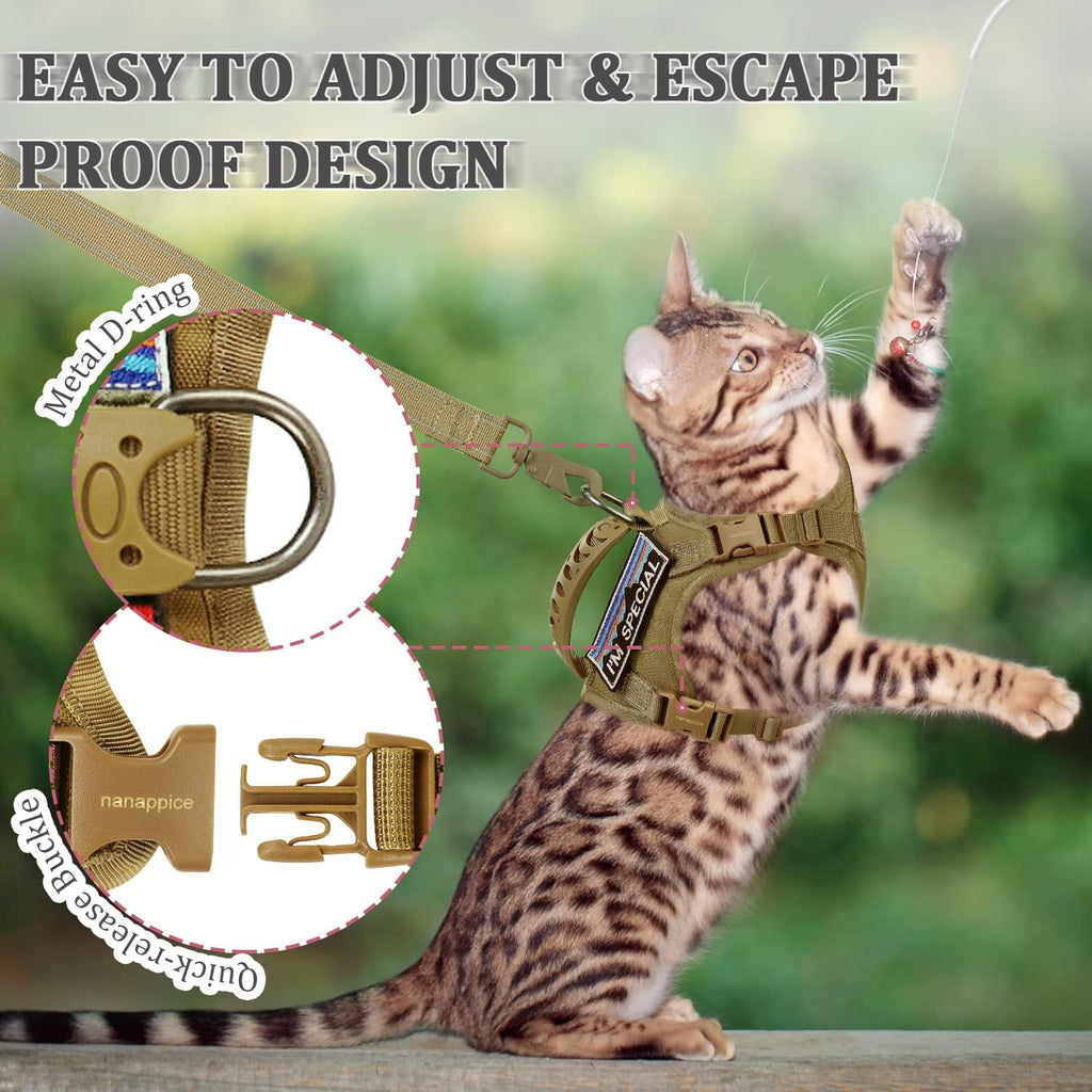 Nanappice imported large cat harness on an outdoor walking adventure