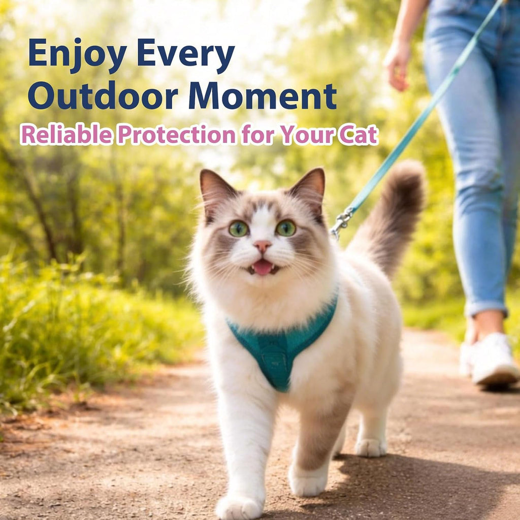 Catego fast acting tick solution for kittens box contents