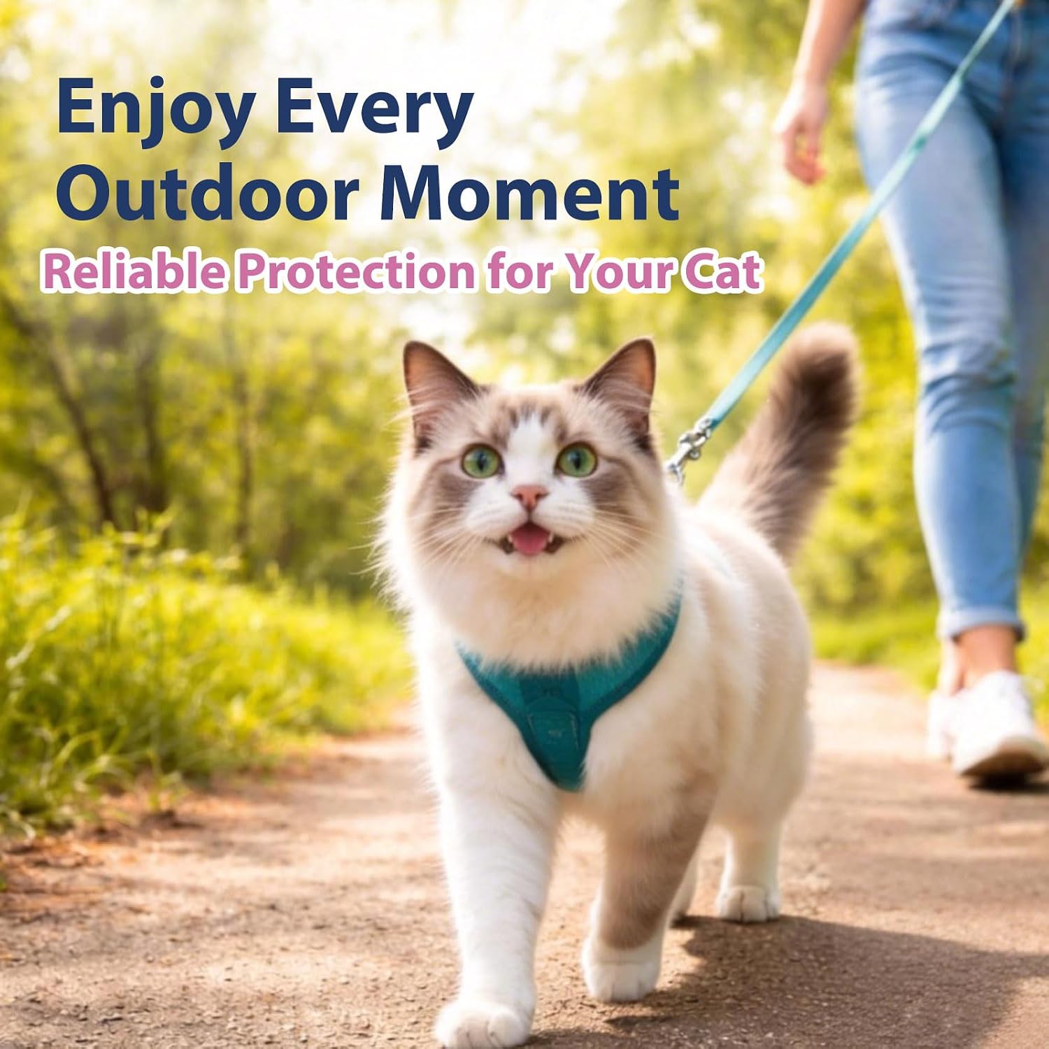 Catego fast acting tick solution for kittens box contents