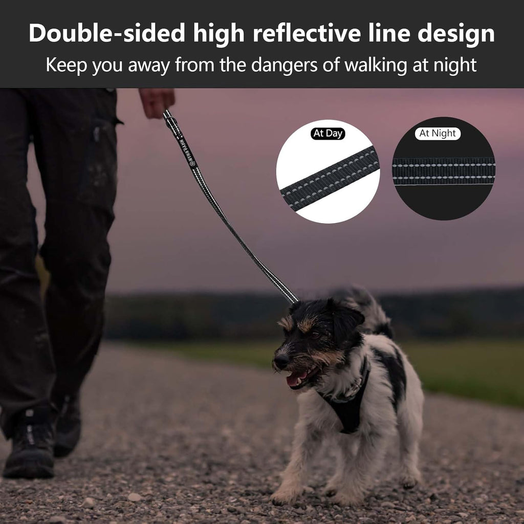HIHANHAN high strength nylon pet leash being attached to a puppy collar for daily outdoor walking control.