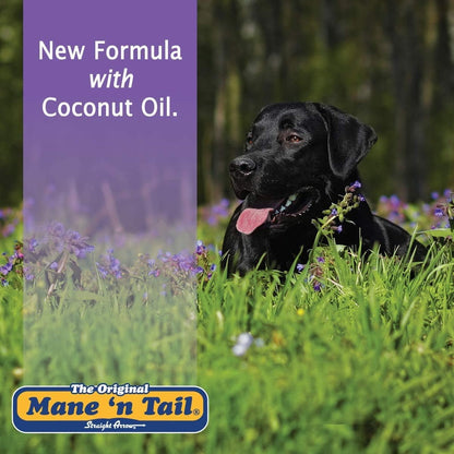 Mane 'n Tail Ultimate Gloss shampoo and conditioner duo set