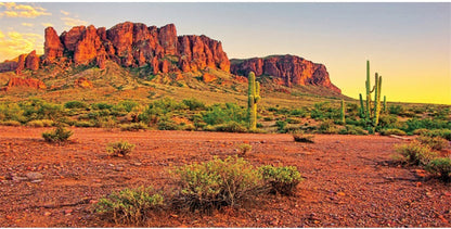 AWERT reptile habitat background front view showing desert mountain cactus landscape