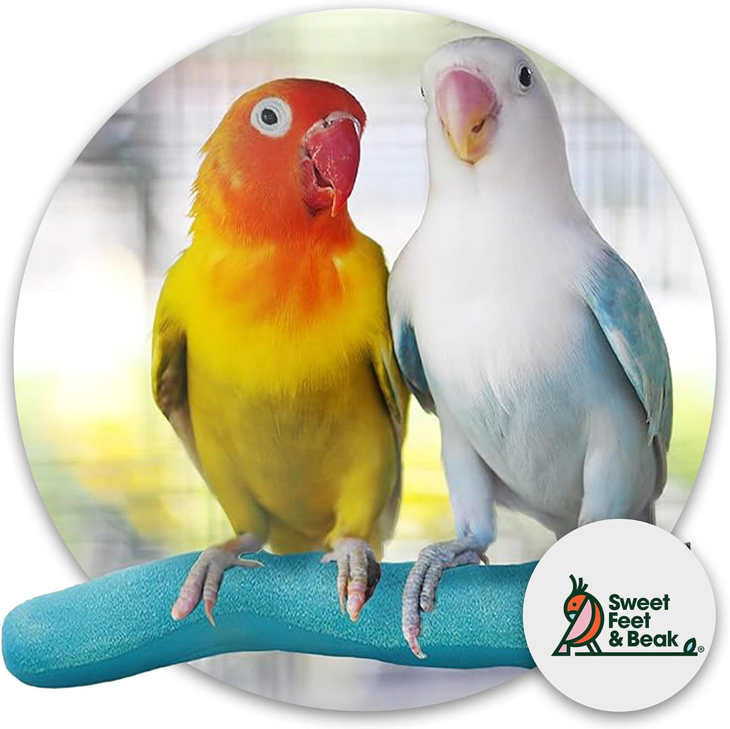 Sweet Feet and Beak Safety Pumice Bird Perch, Small Pedicure Perch, Green - Image 2