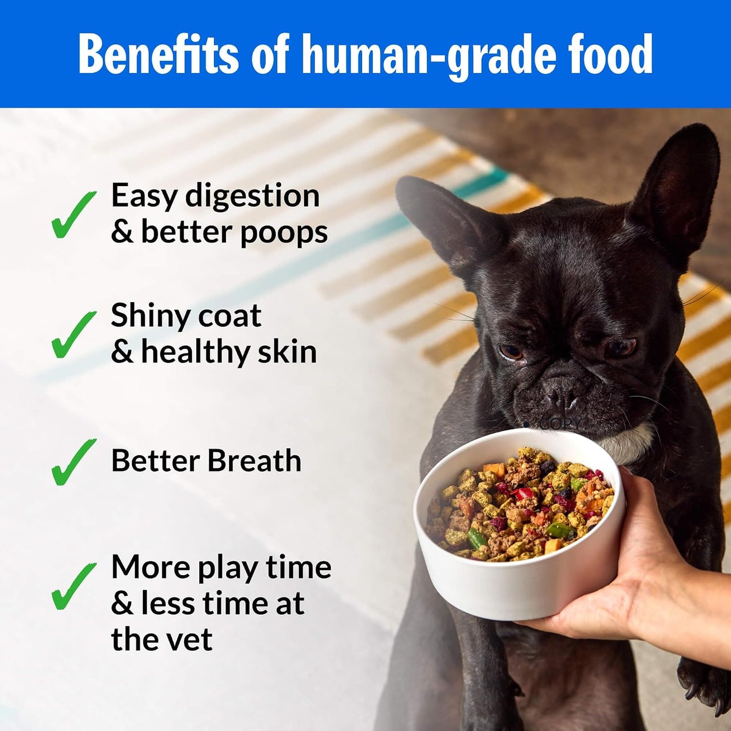 PetPlate freshbaked beef dog food with prebiotics and postbiotics