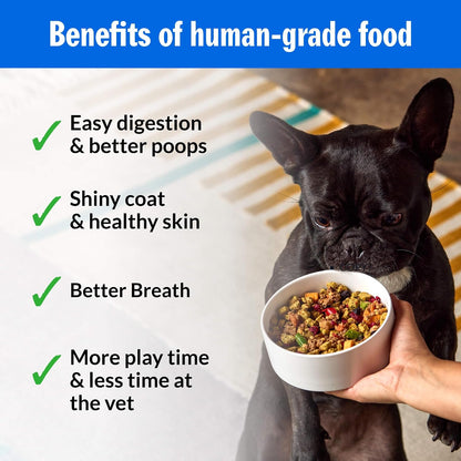 PetPlate freshbaked beef dog food with prebiotics and postbiotics