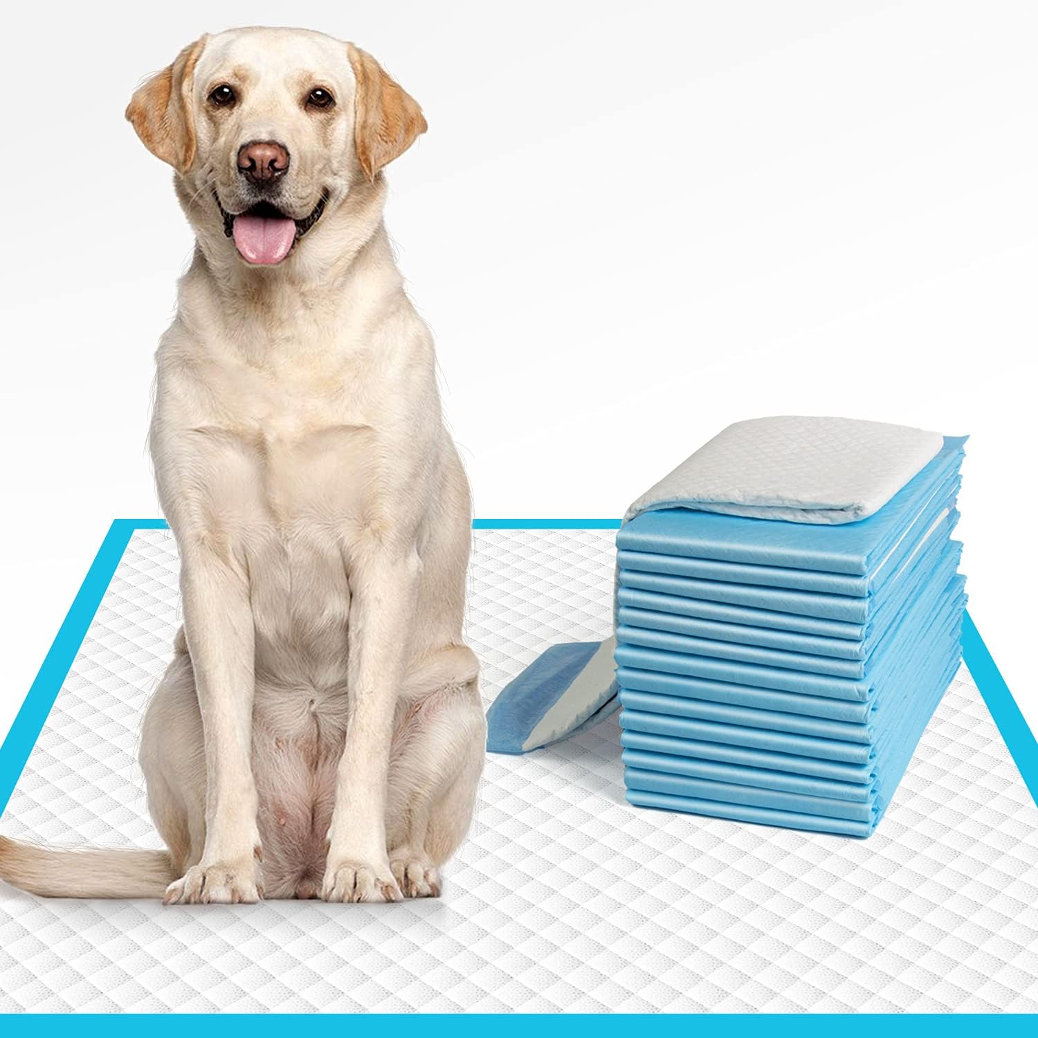 IMMCUTE dog pee pads extra large front view pack of forty