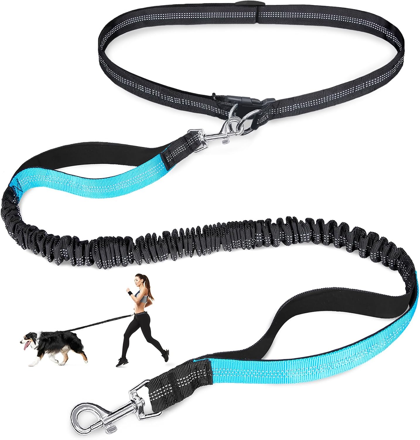 Laqibak hands free dog leash front view showing adjustable waist belt and blue bungee.
