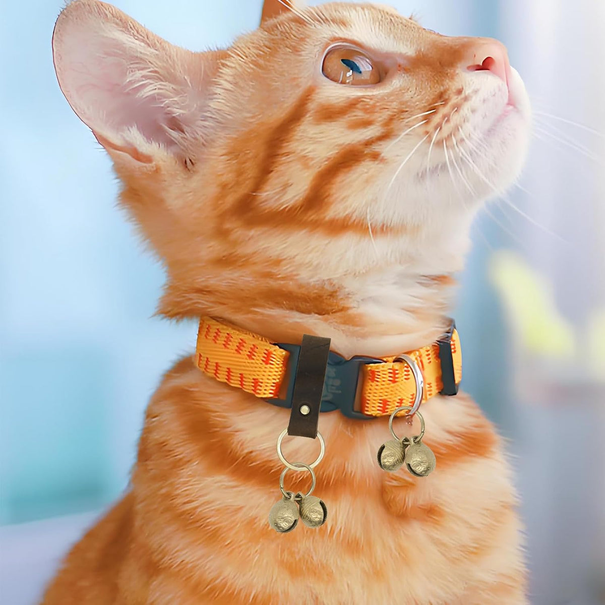 Rust resistant brass pet tracking bells used as stylish keychains