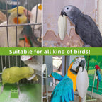 4.3"-4.7" Cuttlebone for Birds,Natural Cuttlefish Bone for Parakeets,12 Pcs - Image 6