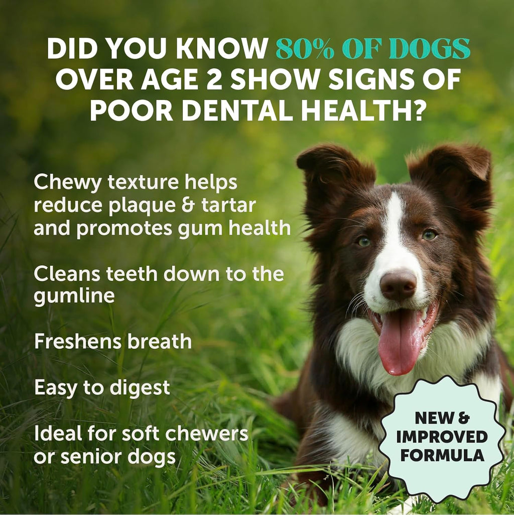 Pet Honesty dog dental sticks showing ridged texture