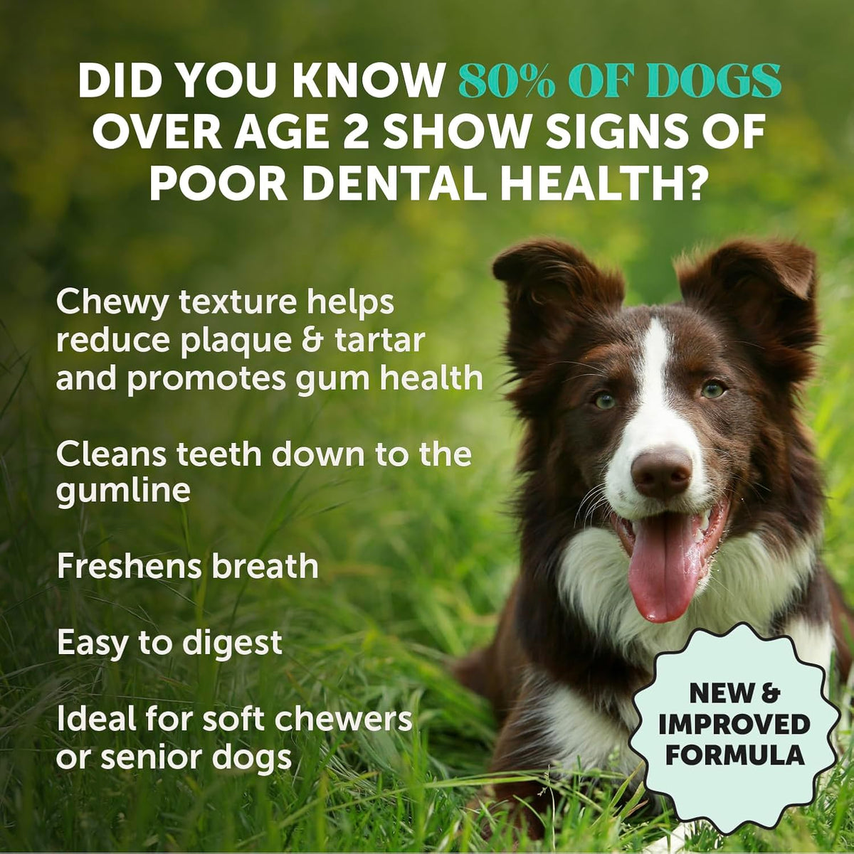 Pet Honesty dog dental sticks showing ridged texture