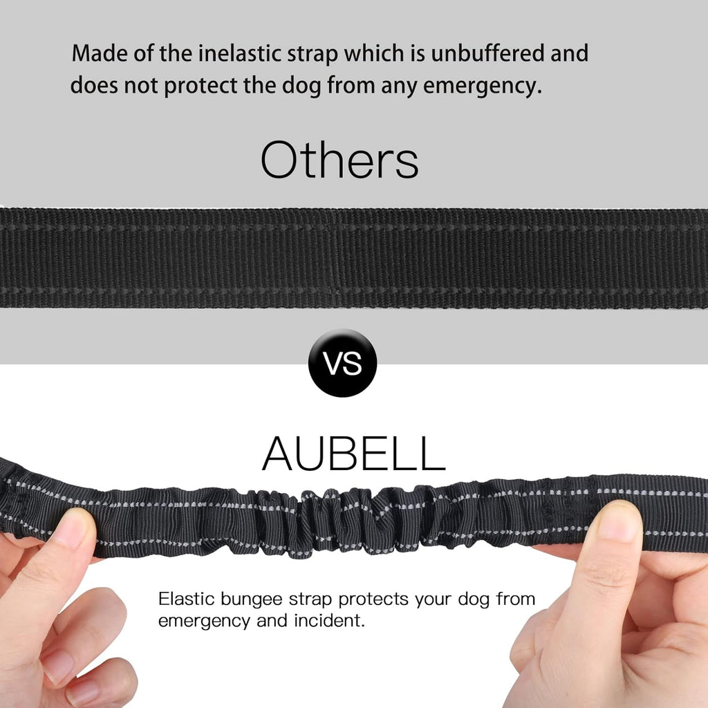 Reflective dog seat belt for vehicle safety