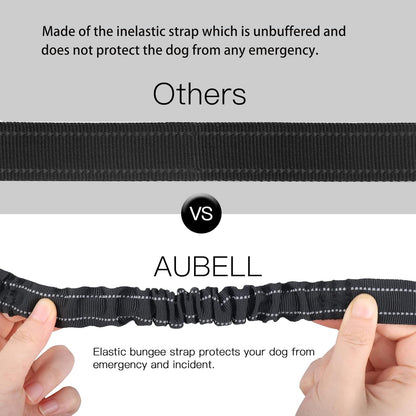 Reflective dog seat belt for vehicle safety