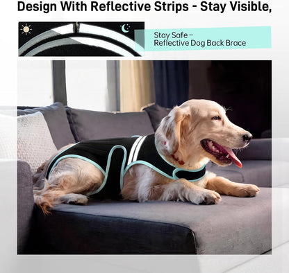 LETSQK IVDD rehabilitation harness side adjustable straps closeup