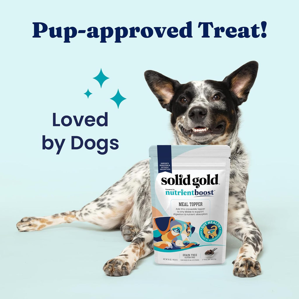 Premium animal plasma nutritional topper for dogs close up packaging
