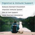Premium veterinary recommended gut health supplement for dogs and puppies packaging