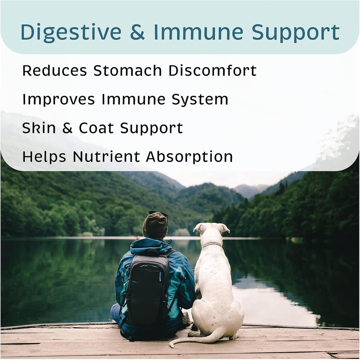 Premium veterinary recommended gut health supplement for dogs and puppies packaging