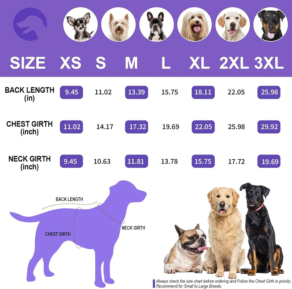 BAOBICUTE stretchable dog clothes on a medium breed sitting indoors