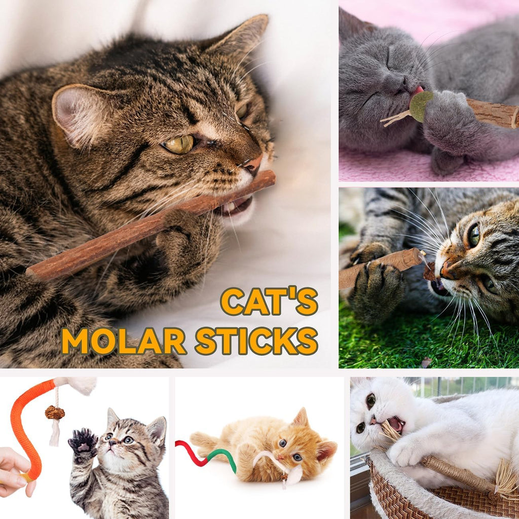 Kyouki natural silvervine sticks for cat dental care
