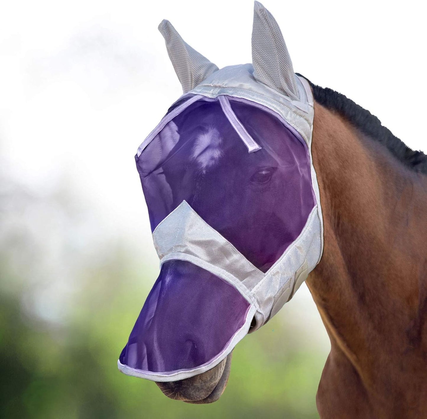 Side profile of Harrison Howard full face horse fly mask